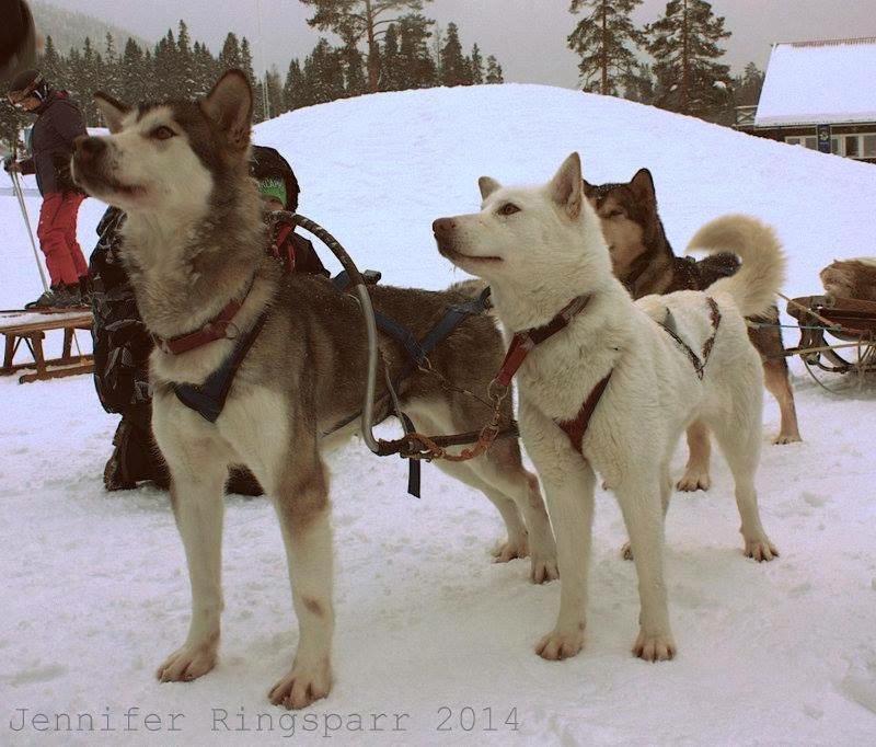 Stuga Saelen Klaeppen 5 Baeddar Uthyres Veckovis Soendag - Soendag ภายนอก รูปภาพ